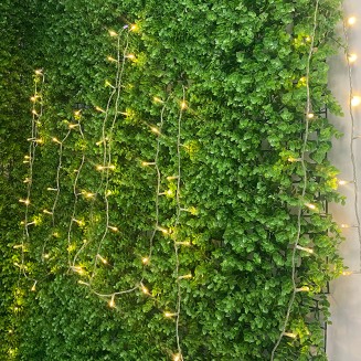 Ścianka dekoracyjna z zielonych roślin.