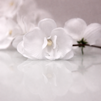 GIRLANDA kwiatowa Białe Orchidee 1,75m