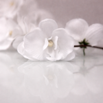 GIRLANDA kwiatowa Białe Orchidee 1,75m